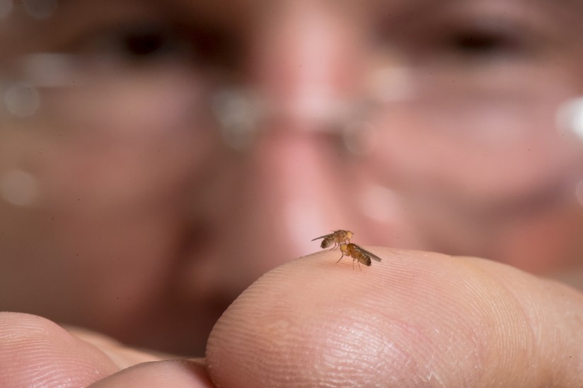 John-Tower-holds-fly...