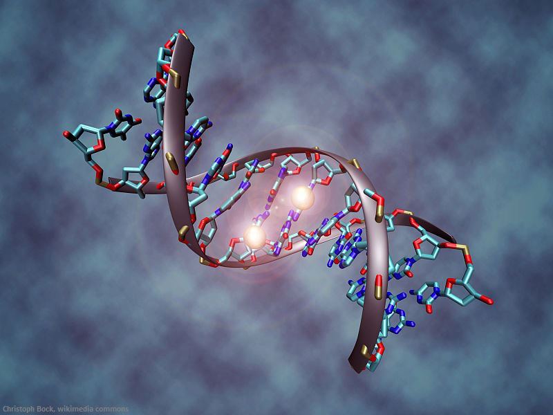 Epigenetic clock analyses of cellular senescence and ageing