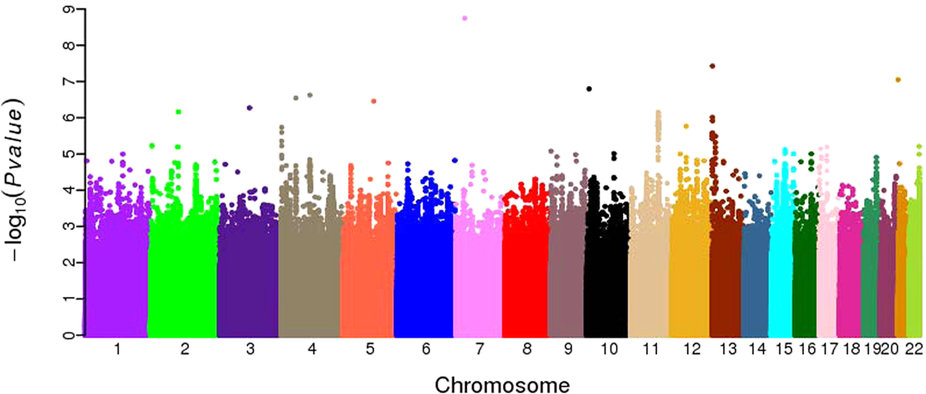 Novel loci and pathways significantly associated with longevity