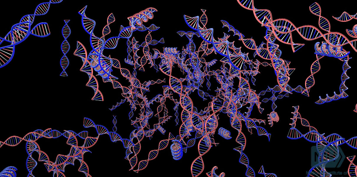 Новая технология генного редактирования оставит CRISPR в прошлом