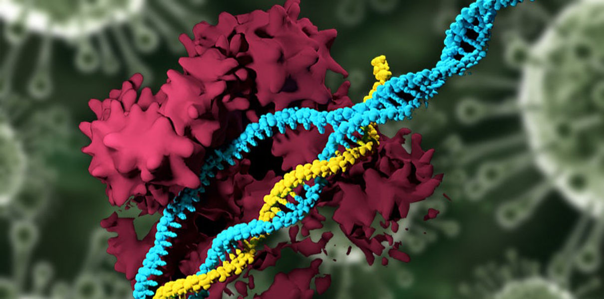 В МТИ усовершенствовали CRISPR с помощью наночастиц