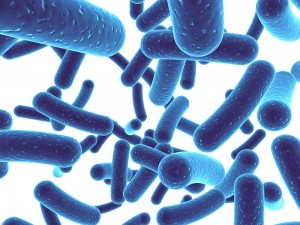 Probiotic Can Reverse Depression