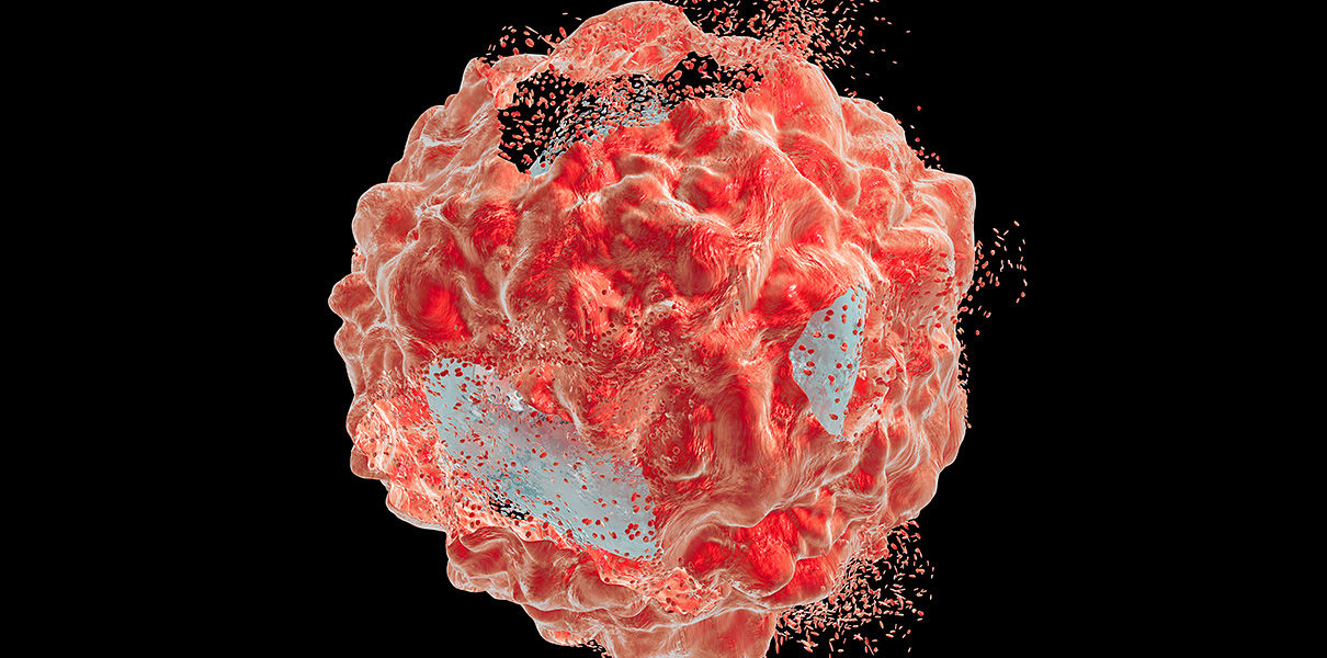 Открыт механизм запуска саморазрушения раковых клеток