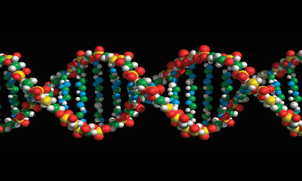 Study identifies key factor in DNA damage associated with aging