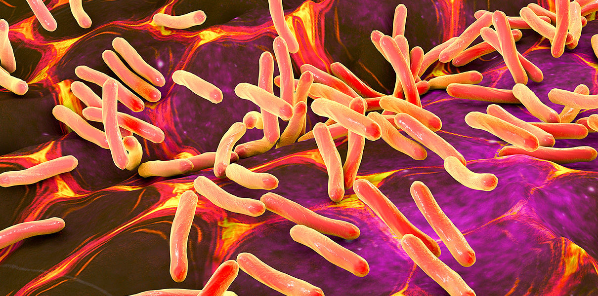 A new treatment for antibiotic resistant bacteria and infectious disease