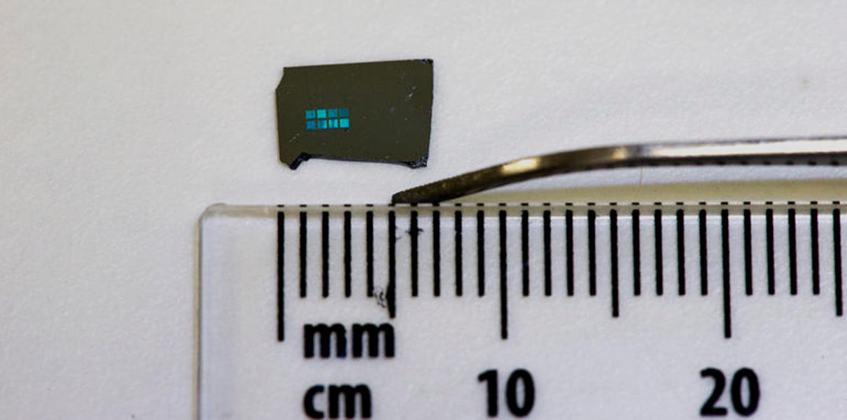 ​ANU researchers build 'brain-on-a-chip' for future brain prosthetics