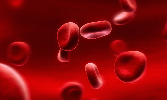 Human blood stem cells grown in the lab for the first time