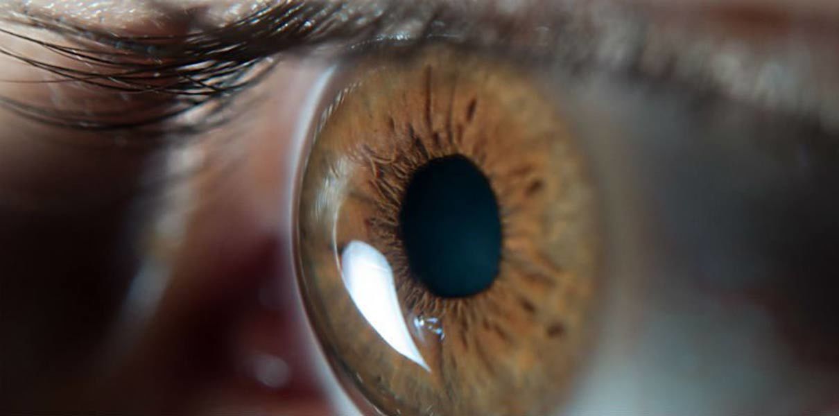 Scientists Have Reversed Age-Related Blindness by Deliberately Infecting Eyes With a Virus