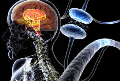 Antibiotic doxycycline may offer hope for treatment of Parkinson's disease