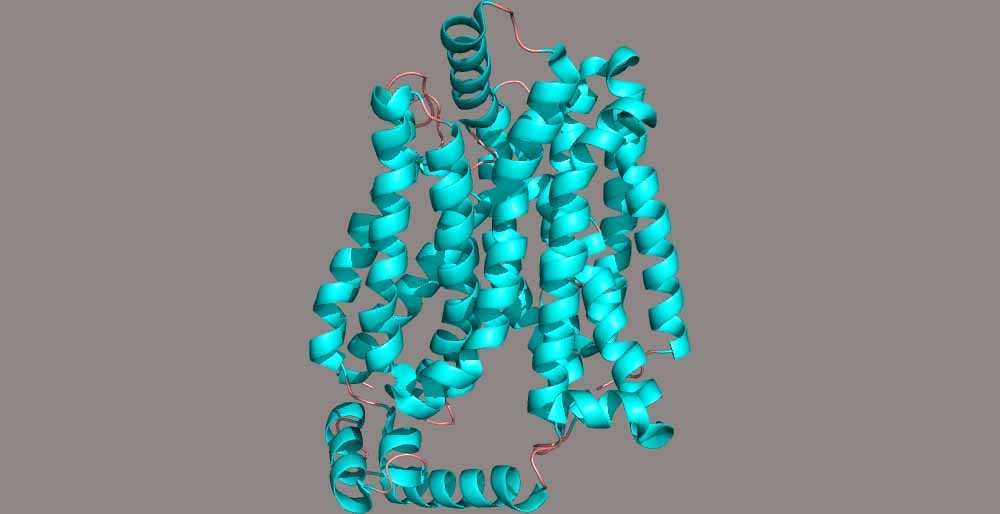 Sweetening connection between cancer and sugar