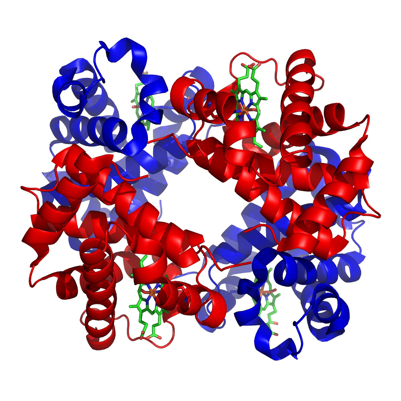 Synthetic genes can make weird new proteins that actually work