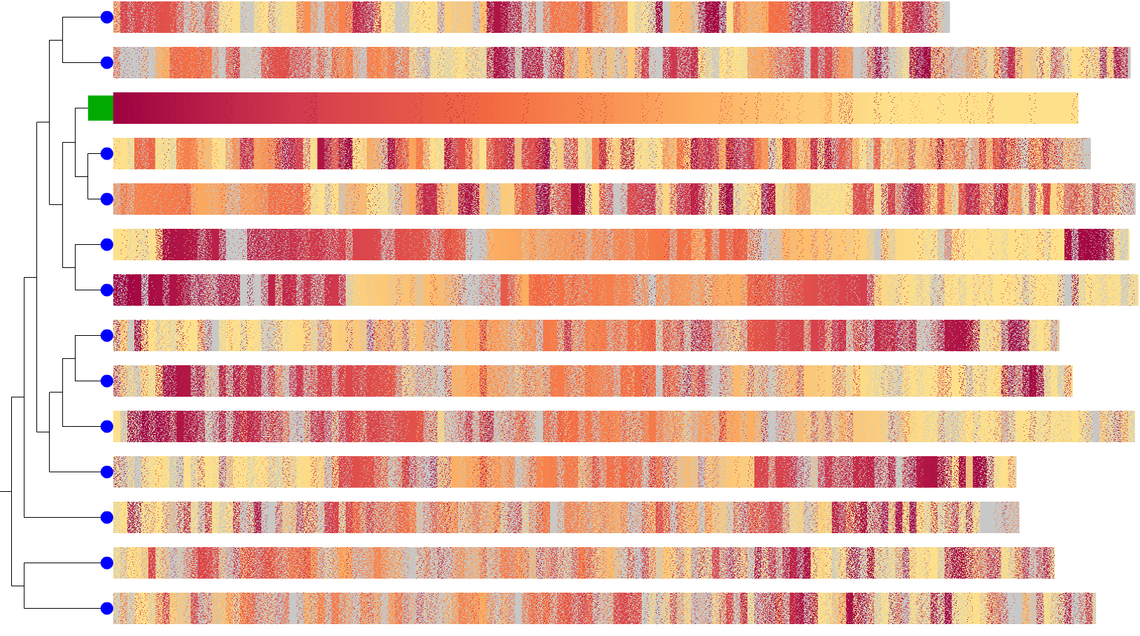 Teasing apart the effects of higher mutation load on fitness