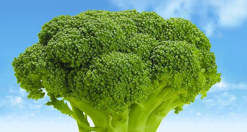 5 kilograms of broccoli in a pill slashes diabetics’ blood sugar