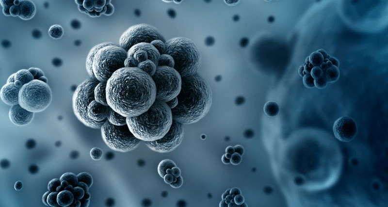 Antibacterial Nucleoside-Analog Inhibitor of Bacterial RNA Polymerase