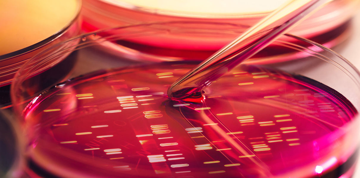 Promising New Cancer Drugs Won’t Go Far Unless Everyone Gets Genetic Testing